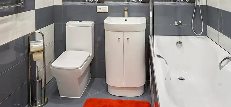 Hansgrohe Shaving Mirror Cupertino